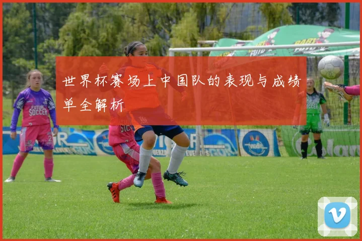 世界杯赛场上中国队的表现与成绩单全解析