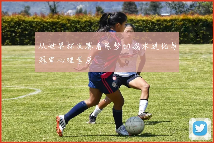 从世界杯决赛看陈梦的战术进化与冠军心理素质