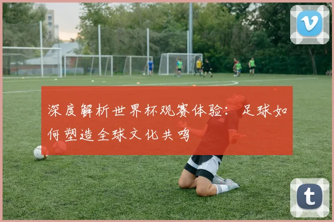 深度解析世界杯观赛体验:足球如何塑造全球文化共鸣